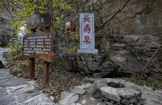 见兔顾犬打一最佳生肖,警惕虚假宣传落实,专家解答解释落实
