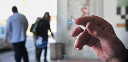 幾分姿色，毋須行乞，女子無財總易得打一正确生肖,警惕虚假宣传-全面释义、解释与落实、实证解答解释落实