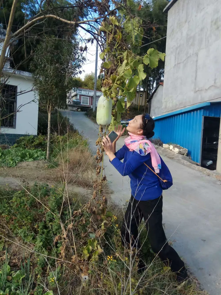 瓜田李下五六加，五尘四四马先去打一最佳准确生肖与警惕虚假宣传-全面释义、构建解答解释落实