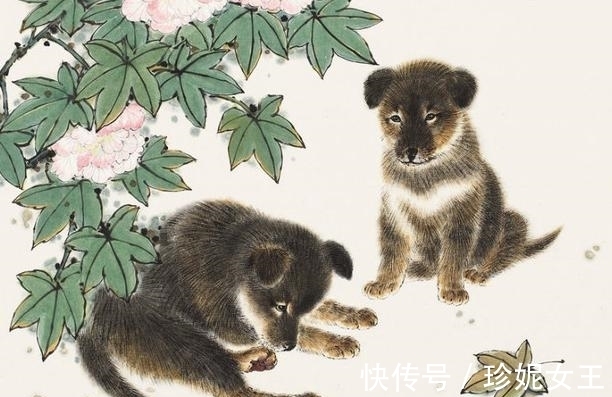 见兔顾犬打一最佳生肖仔细释义、解释与落实、全面解答解释落实