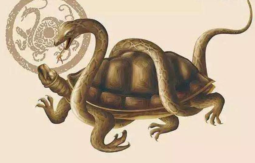 东船西航两头现，送君千里终顺别打一正确生肖仔细释义、解释与落实、科学解答解释落实